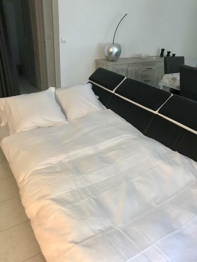 Guesthouse La Costiere - Logements Independants - Espace Piscine Jacuzzi Lunel  Eksteriør billede